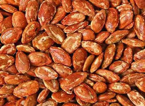 قیمت تخمه ژاپنی شور با فروش عمده